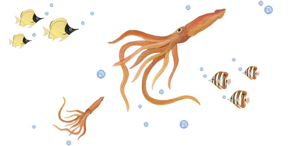 Giant Squid Wall Decals - Squid Murals